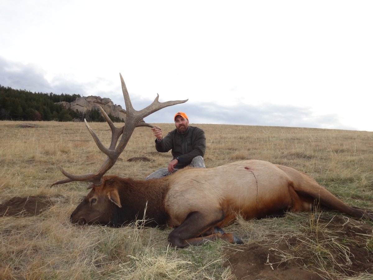 Bighorn Mountains Elk Hunting Wyoming Elk Hunting Outfitters