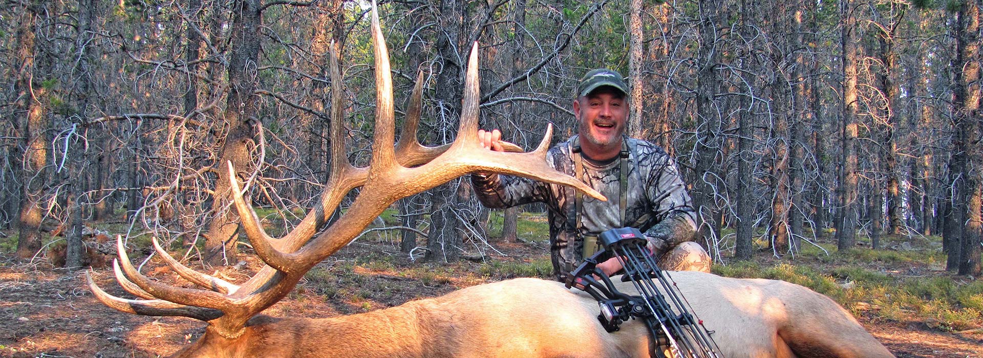 Archery Elk Hunts
