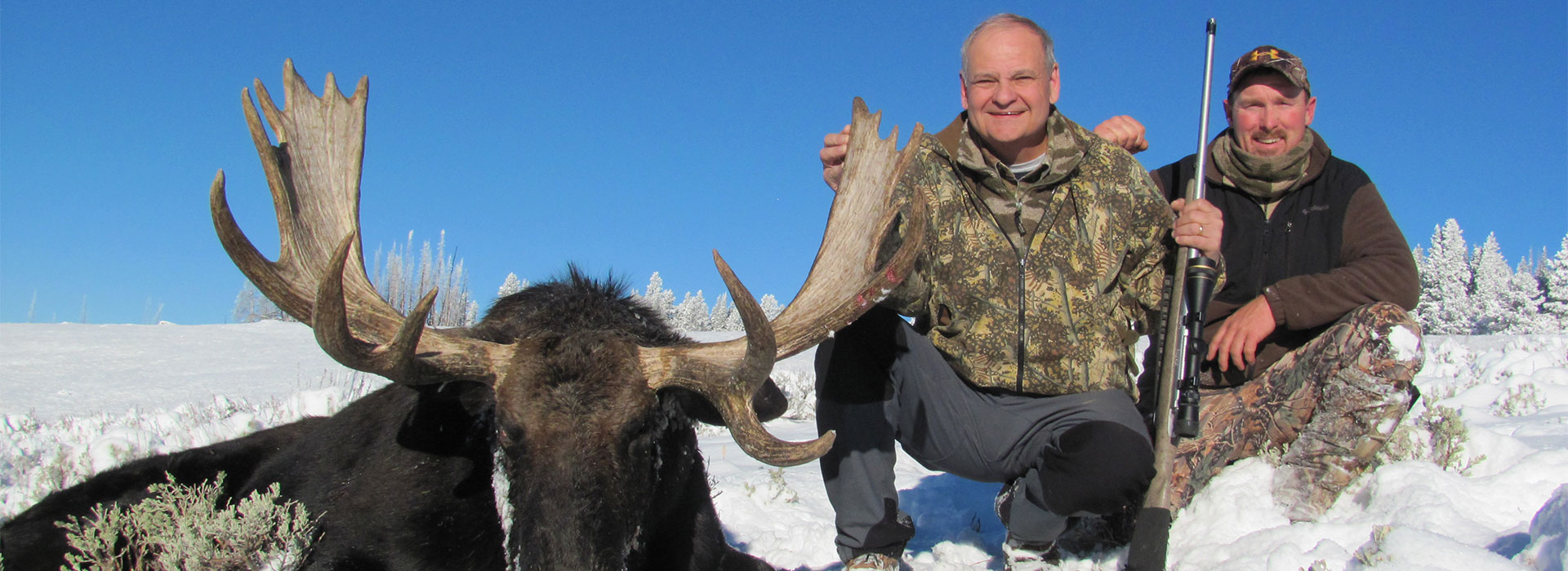 Wyoming Shiras Moose Hunts in Unit 1