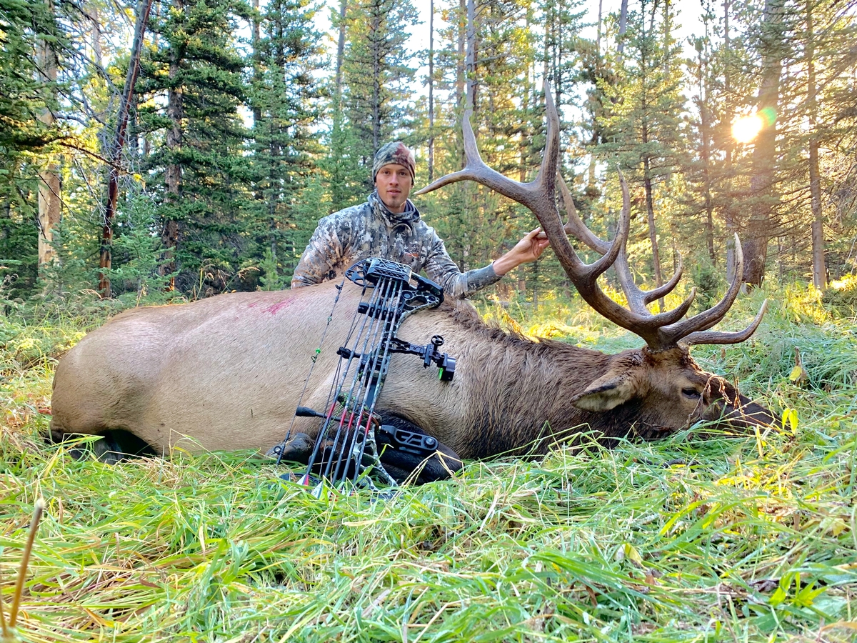 Archery Elk Hunting Rates