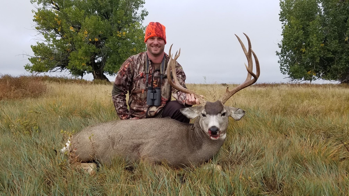 Wyoming Big Game Draw Information Beaver Trap Outfitters