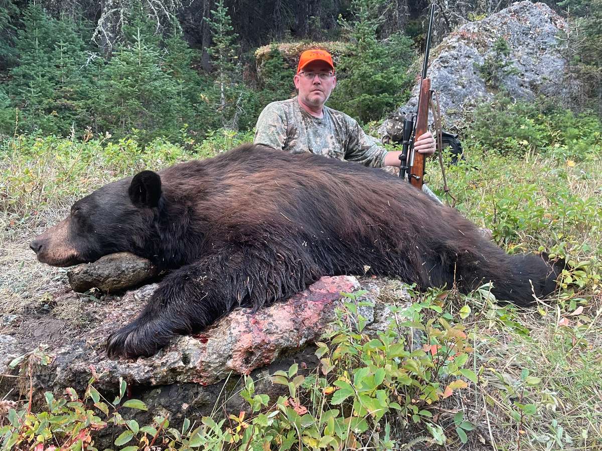 Guided Fall Bear Hunts