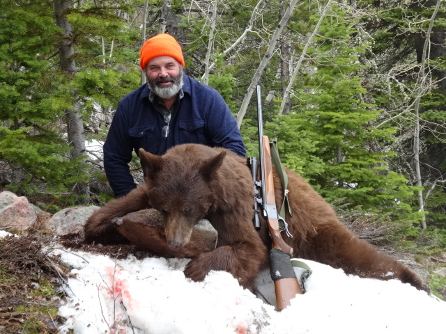 Black Bear Hunts Wyoming
