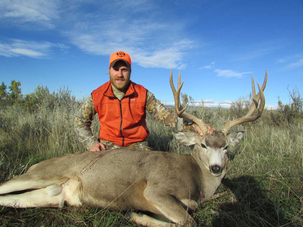 Guided Mule Deer Hunts Wyoming | Bighorn Mountain Outfitters