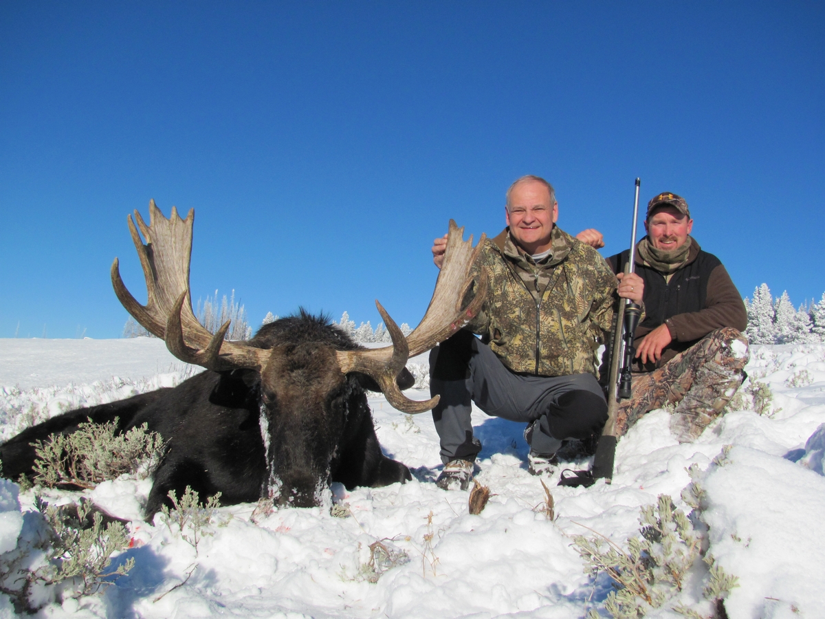 Shiraz Moose Hunts Wyoming