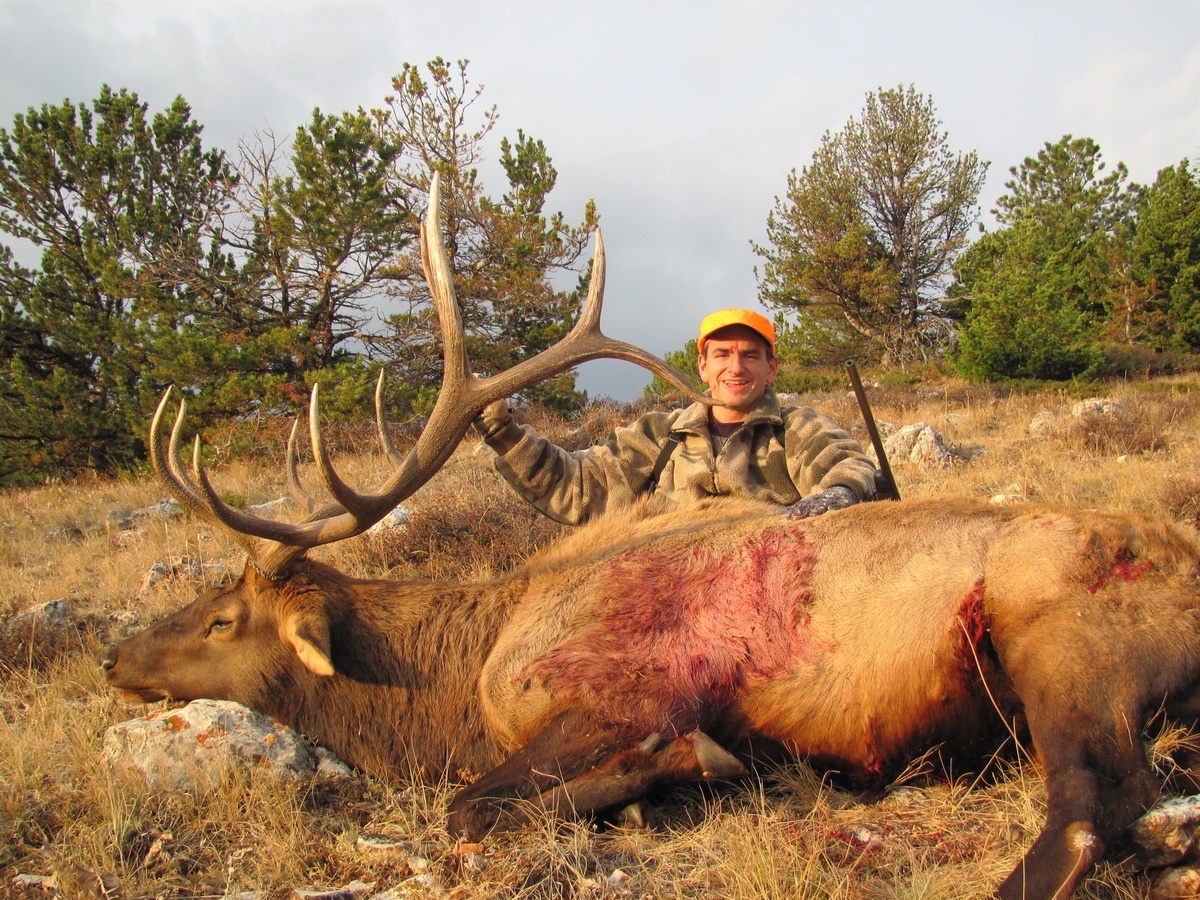 Trophy Elk Hunts