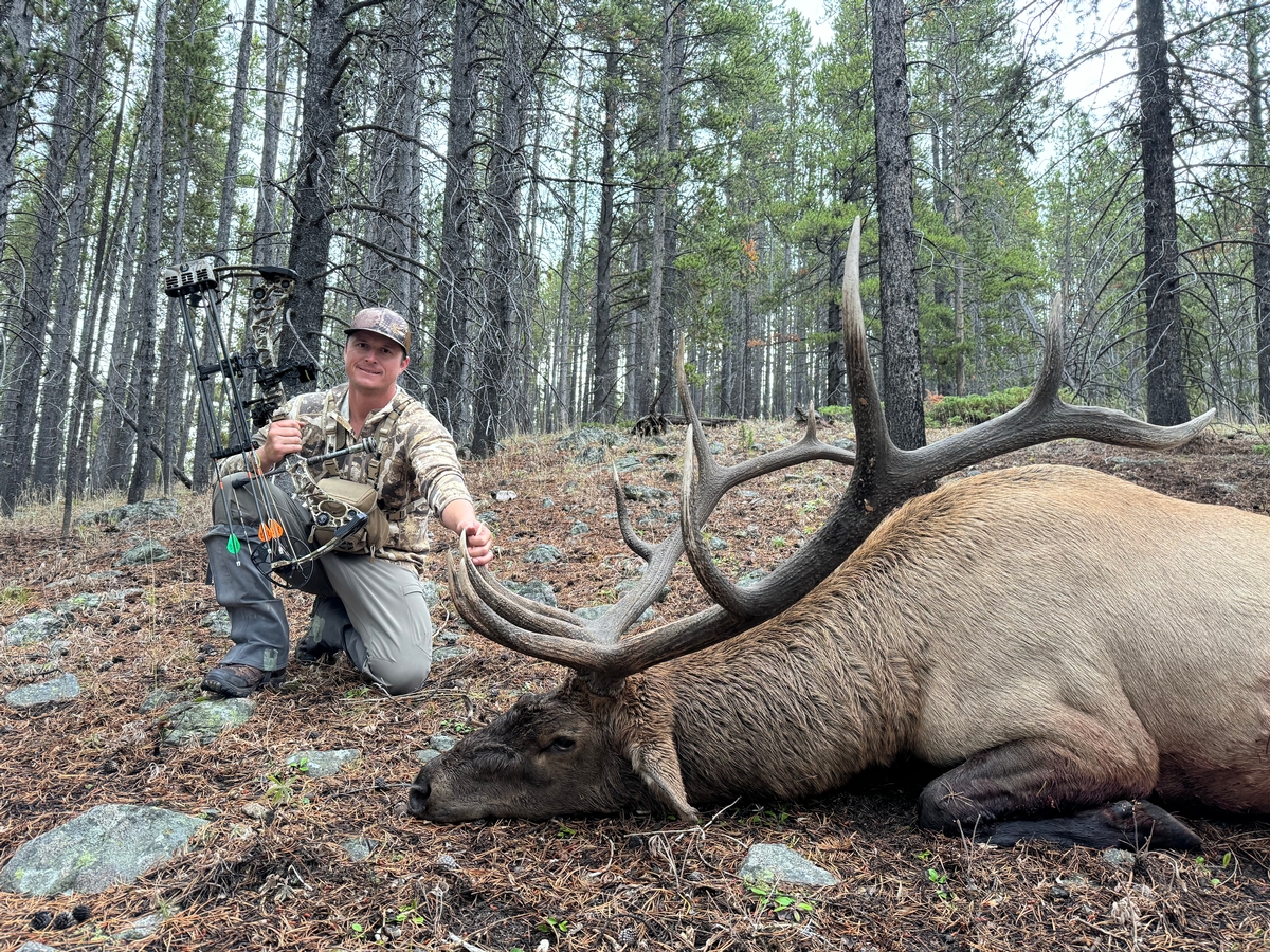 archery elk hunts