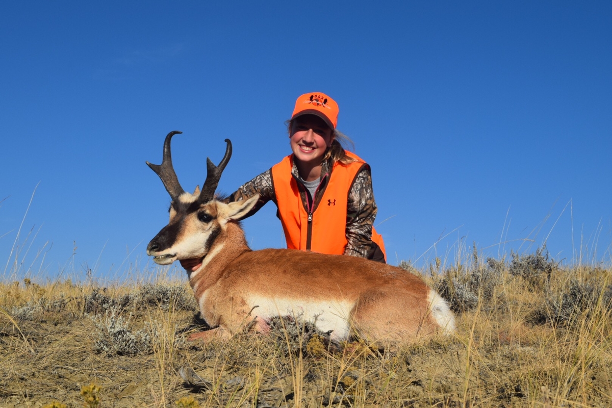 Wyoming Big Game Draw Information Beaver Trap Outfitters