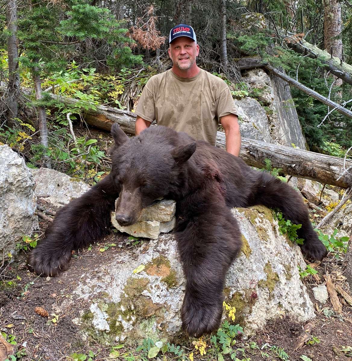 Black Bear Hunting 
