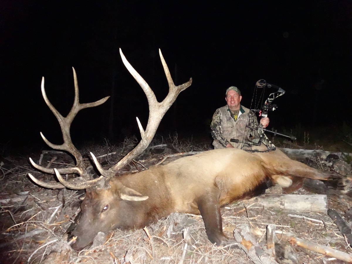 Archery Elk Hunts Wyoming