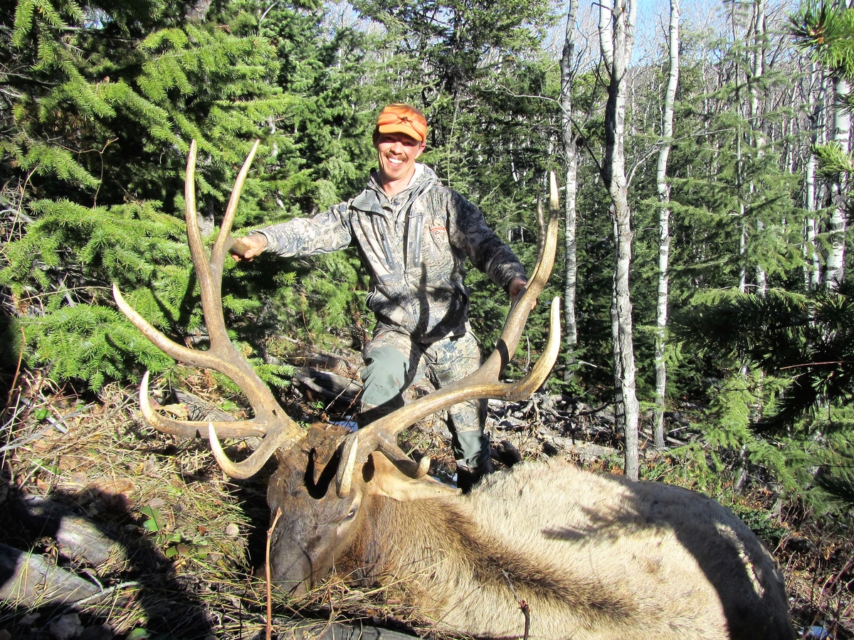 Guided Rifle Elk Hunts Wyoming